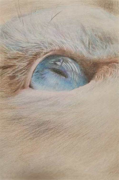 童晨妤.jpg 童晨妤.jpg